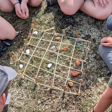 Petteia - Ett enkelt brädspel